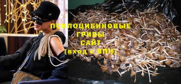 бошки Нягань