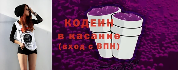 стаф Няндома