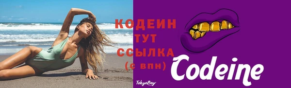 дурь Новодвинск
