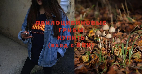 дурь Алексин