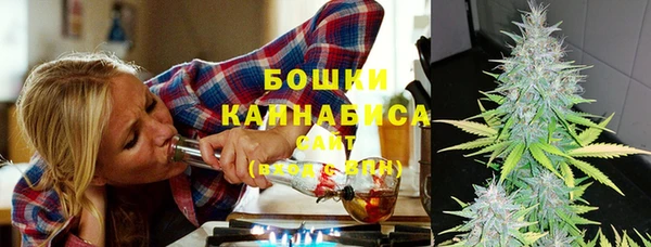 стаф Няндома