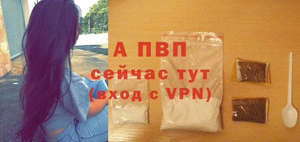 соль ск Новокубанск